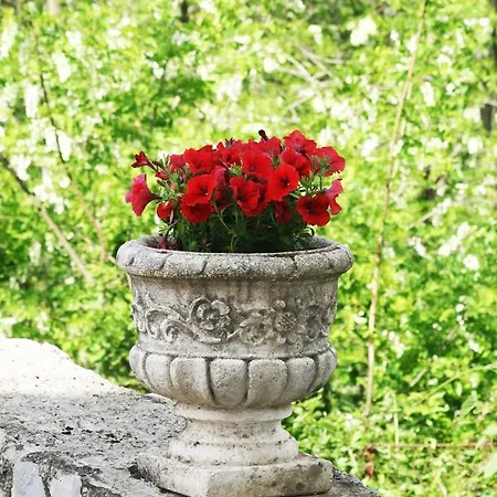 Tra I Monti 4* טרמונטי